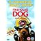 My favourite films about dogs