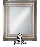Review PosterPanda.com  / 11x14 - SILVER SCOOP FRAMED MIRROR