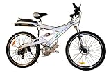 R10 silver electric bicycle