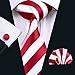Hi-Tie Mens Striped Tie Set Silk Classic