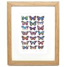 Butterflies by John Dilnot (Framed Print)