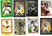 Hank Aaron Milwaukee/Atlanta Braves Baseball Card Lot