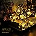 WishWorld Outdoor Solar Fairy String Lights, Waterproof Blossom Flower Light, 21ft 50 Led Christmas Lights Decorative Lighting for Indoor, Gardens, Party, Patio and Holiday Decorations(Warm White)