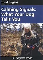 Calming Signals: What Your Dog Tells You