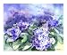 Nikko Blue Hydrangea Emerging Artists Giclee Poster Print by Amy Hautman, 24x20