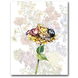 Zinnia Fairy - Gift Enclosure Cards (set of 12)