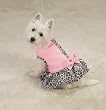 X-SMALL - Sugar and Spice Dog Dress X-SMALL - Sugar and Spice Dog Dress