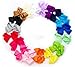 Ema Jane - Large (4.3 in Wide) Grosgrain Hair Bows Secured to Double Prong Clips,Set of 18