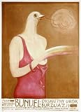 The Discreet Charm of the Bourgeoisie Framed Poster Movie C 11 x 17 Inches - 28cm x 44cm Milena Vukotic Fernando Rey Delphine Seyrig Jean-Pierre Cassel