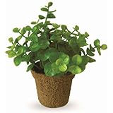 ���i�̏ڍ�