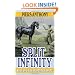 Split Infinity (Apprentice Adept)