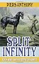 Split Infinity (Apprentice Adept)
