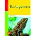 Bartagamen