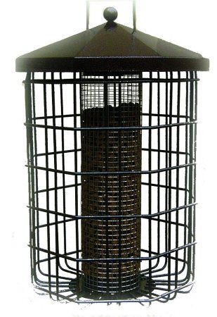Tierra-Derco International SPF35NA 14-1/2-Inch Feeder Bronze