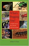 What's Bugging You? : A Fond Look At The Animals We Love  To Hate