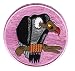 17th Army Air Force FTD Condor Fld 29 Palms 4 Patch