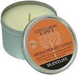 Cinnamon Spice Aromatherapy Candle- 50 hr. burn time- made with 100% pure essential oils