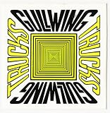 Gullwing Trucks Old School / NOS Skateboard Sticker Rare in Green