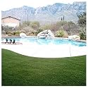Pro Viri Artificial Grass - 15' x 25'