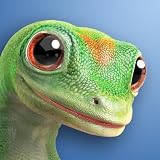 GEICO Insurance GloveBox