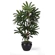 Raphis Silk Palm Tree w/Black Vase 27"