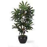 Raphis Silk Palm Tree w / Black Vase 27 &acute; - B000I6I5SA