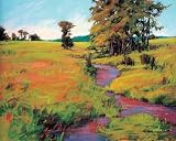 Big Muddy Susan Ogilvie 20x16