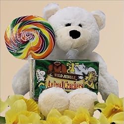 Love & Tenderness: Child Sympathy Gift Basket ~ Ages 3-7
