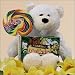 Love & Tenderness: Child Sympathy Gift Basket ~ Ages 3-7