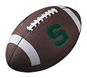 Michigan State Spartans Nike Full Size Composite Leather Replica Football