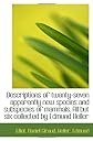 Descriptions of twenty-seven apparently new species and subspecies of mammals. All but six collected