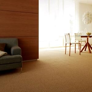 【クリックで詳細表示】なかね家具 東リ カーペット 防ダニ 江戸間長4畳半(200x352) SJ8201 154-01seg