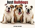 Just Bulldogs 2010 Calendar