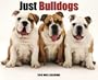 Just Bulldogs Calendar