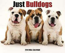 Just Bulldogs 2010 Calendar