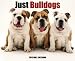 bulldog1 - Just Bulldogs 2010 Calendar
