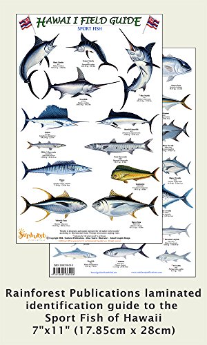 Hawaii Sport Fish Identification Guide (Laminated Single Sheet Field Guide) (Hawaii Field Guides)