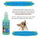 BUBBAS Premium Pet Dental Care Water Additive For Dogs And Cats- Bad Breath Freshener-Teeth Cleaner-Requires No Toothbrush Or Toothpaste Cleaning For Plaque Removal And Tartar Control For Dog Or Cat - Helps Prevent Periodontal Disease Of The Gums. Big 32 Oz Bottle. Pets Love The Taste. Not Messy Like Foam.