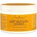Shea Moisture Organic Raw Shea Butter Deep Treatment Hair Masque