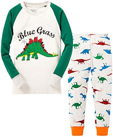 Cute Honey Dinosaur Little Boys' 2-Piece Pajama Set 100% Cotton Kids PJS 5Y