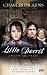 Little Dorrit (Paperback)