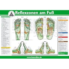 Reflexzonen am Fu� (2 Tafeln A4)