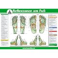Reflexzonen am Fu� (2 Tafeln A4)