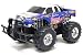New Bright - 1:14 Radio Control Monster Truck Ford Big Foot