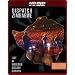 Dispatch: Zimbabwe - Live at Madison Square Garden (Combo HD DVD and Standard DVD) [HD DVD]