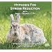 Hypnosis For Stress Reduction (Hypnotic Empowerment Series for Self-Awakening)