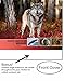 North American Wildlife 2016 Wall Calendar- 18.5