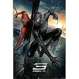 Spider-Man 3 Movie (Reflection, 3) Poster Print - 24x36