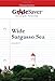 GradeSaver (tm) ClassicNotes Wide Sargasso Sea Study Guide