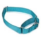 Guardian Gear Nylon Martingale Dog Collar, 10-16-Inch, Bluebird